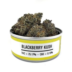 BlackBerry Kush  Tins