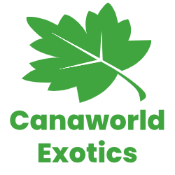 canaworldexotics
